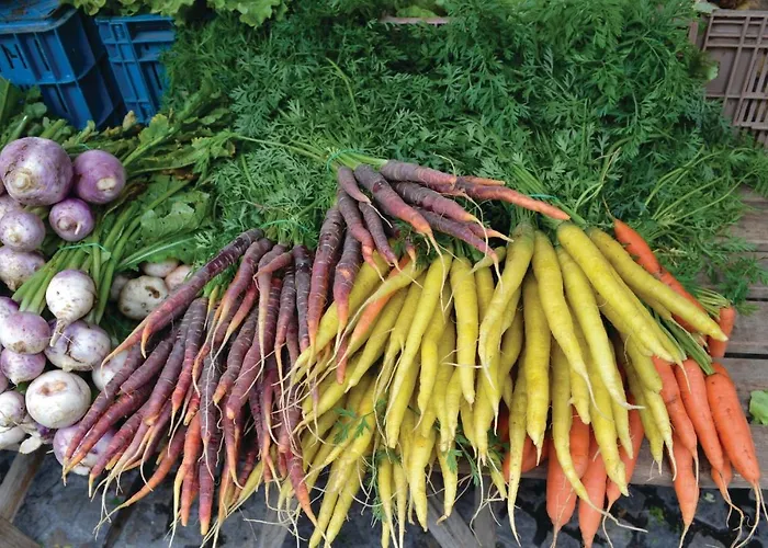 別荘 Des Blanchiries Aubin-Saint-Vaast